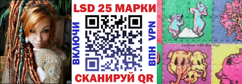 где найти наркотики  Александров  Марки 25I-NBOMe 1500мкг 