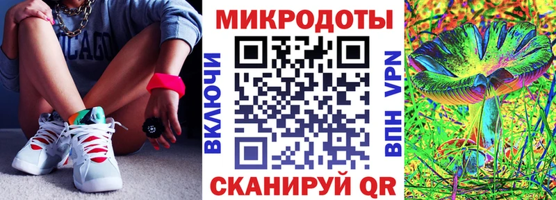 закладка  Александров  Галлюциногенные грибы прущие грибы 