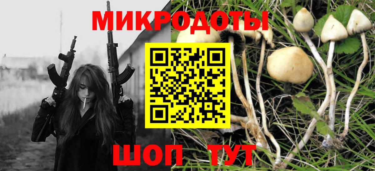 Псилоцибиновые грибы Psilocybine cubensis Александров