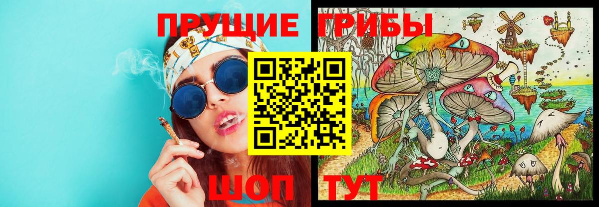 Галлюциногенные грибы прущие грибы  где купить   Галлюциногенные грибы GOLDEN TEACHER  Александров  Вход с VPN 
