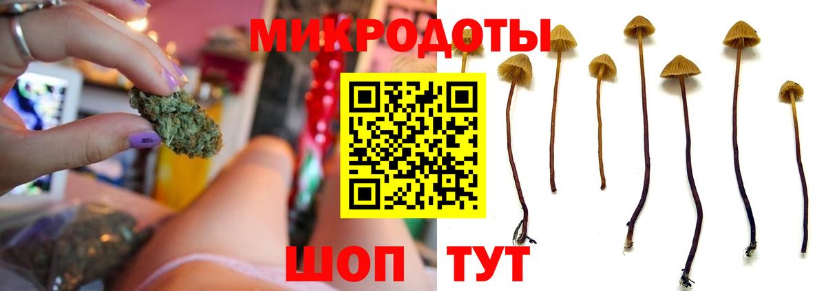 Александров  LSD-25  Кокаин  Вход с VPN  Хэш  Мяу-Мяу  Где продают наркотики? 