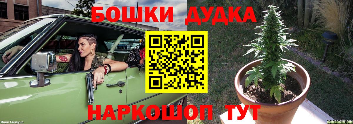 МЕФ Александров